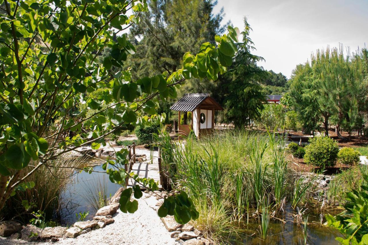 Carvalhal Bemfeito Quinta Japonesa B&B 외부 사진