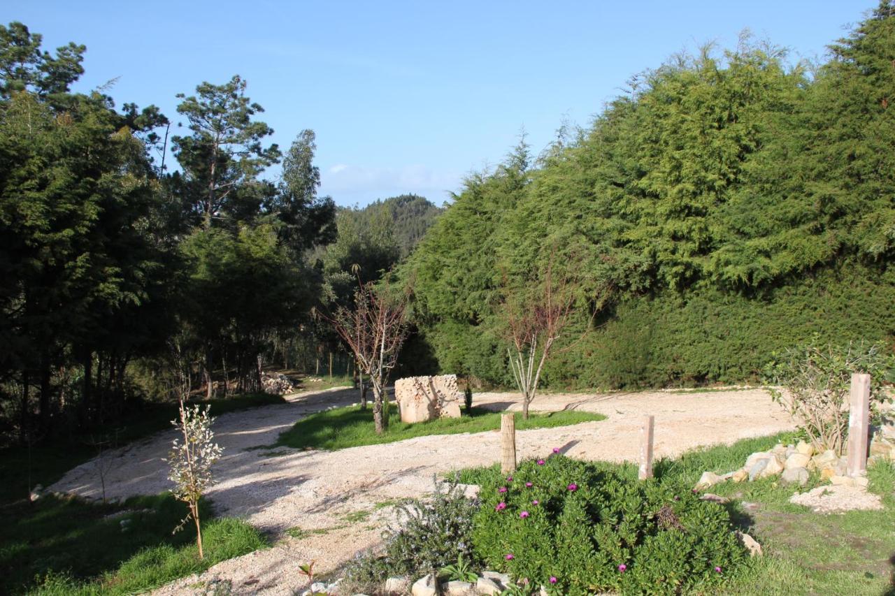 Carvalhal Bemfeito Quinta Japonesa B&B 외부 사진