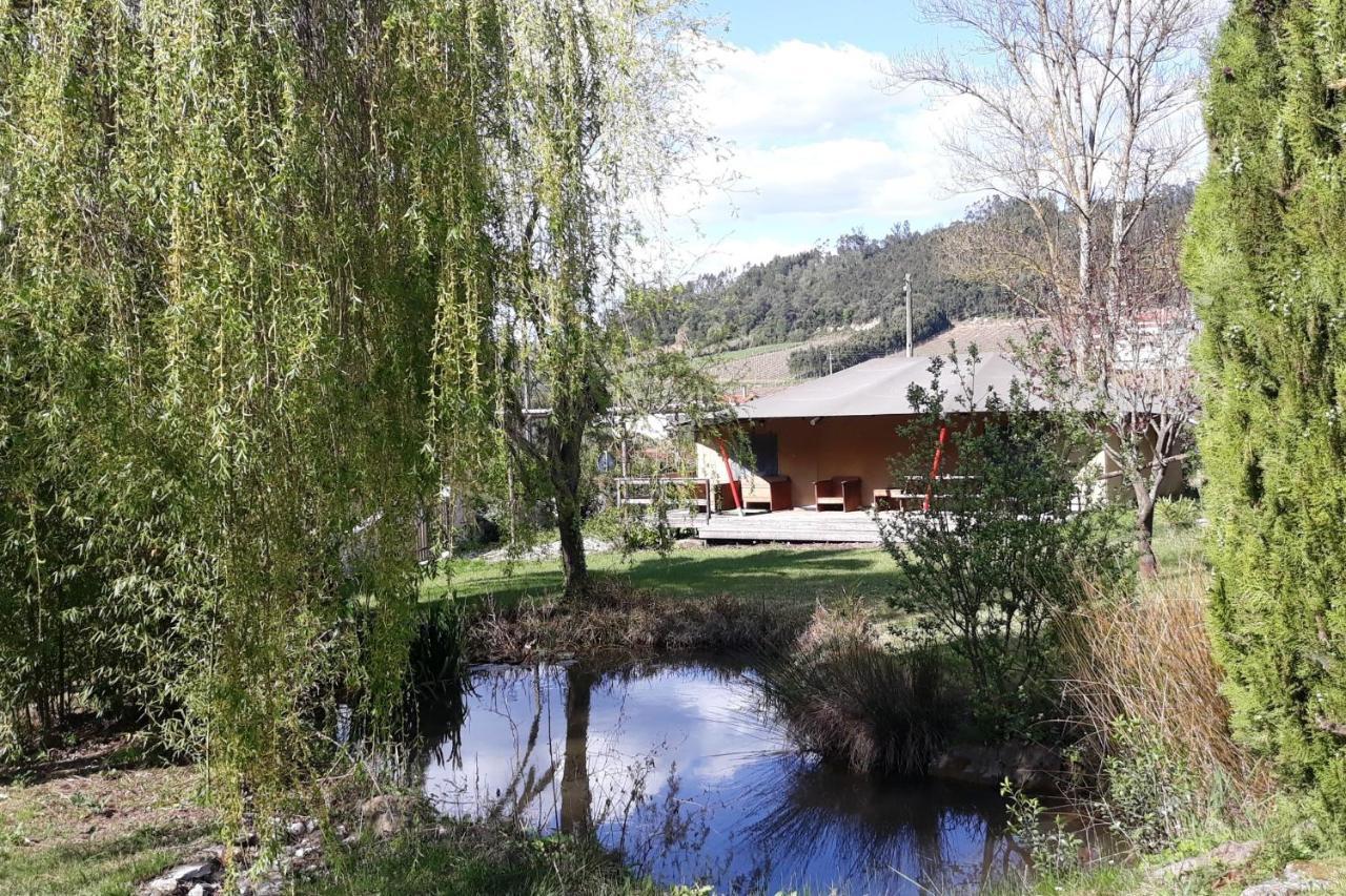 Carvalhal Bemfeito Quinta Japonesa B&B 외부 사진