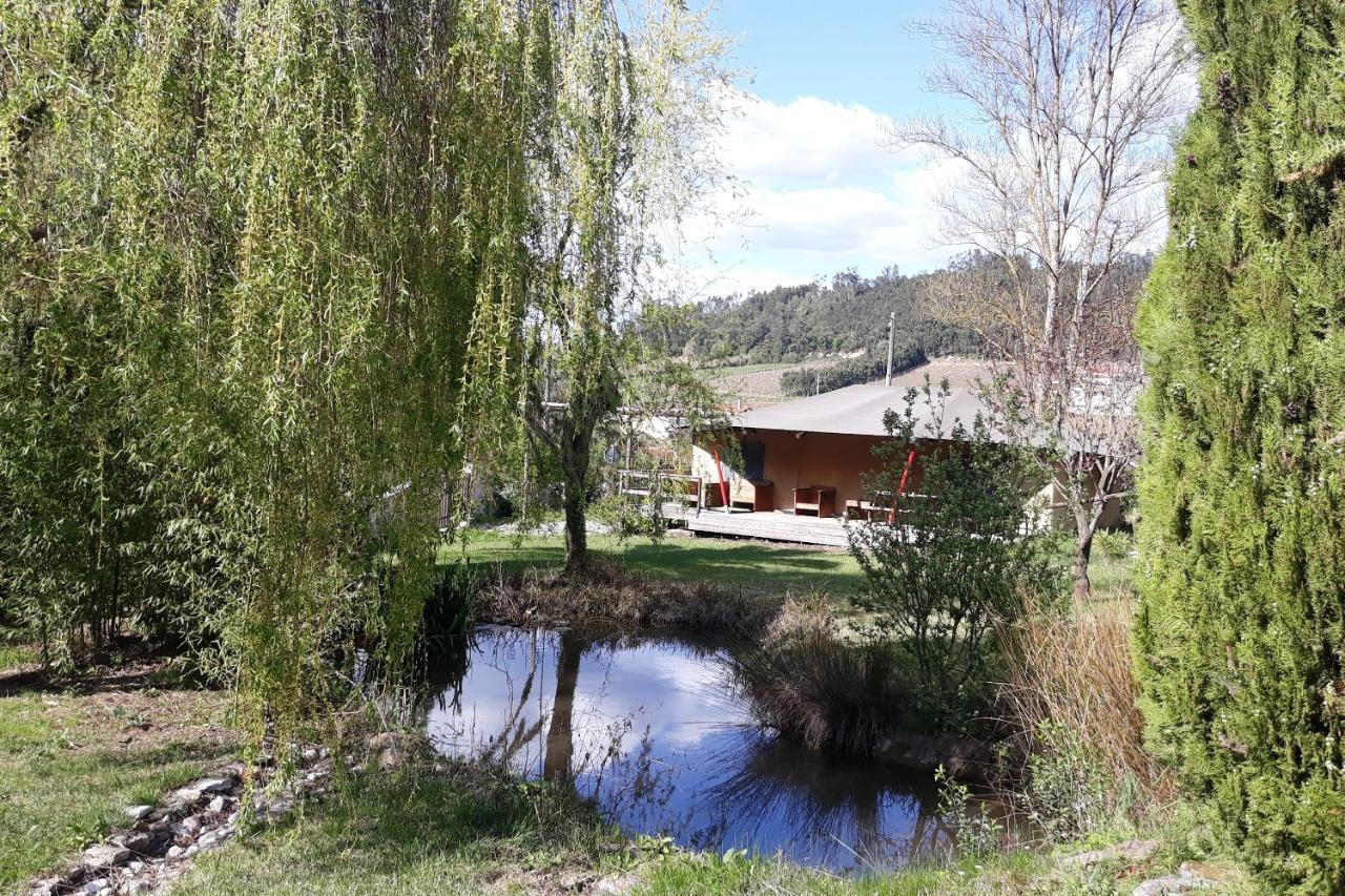 Carvalhal Bemfeito Quinta Japonesa B&B 외부 사진