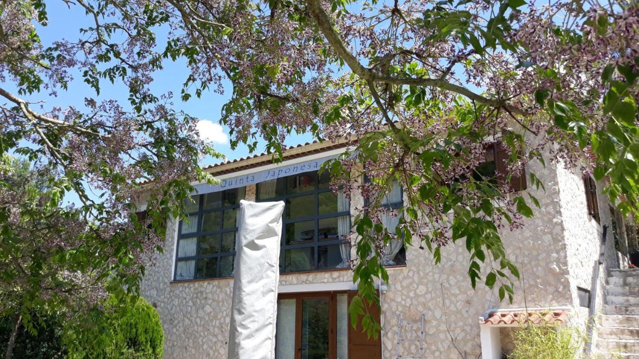 Carvalhal Bemfeito Quinta Japonesa B&B 외부 사진