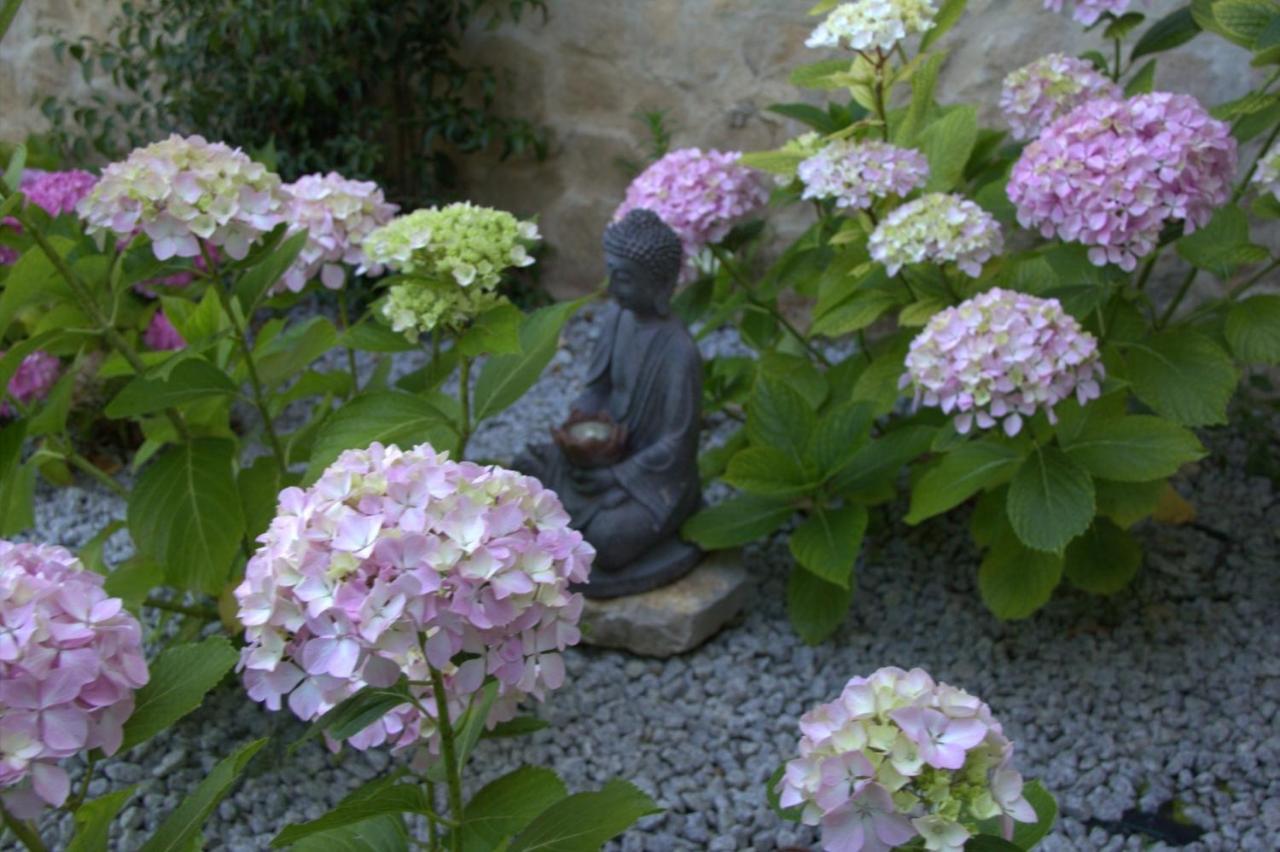 Carvalhal Bemfeito Quinta Japonesa B&B 외부 사진